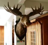 Click for more details.